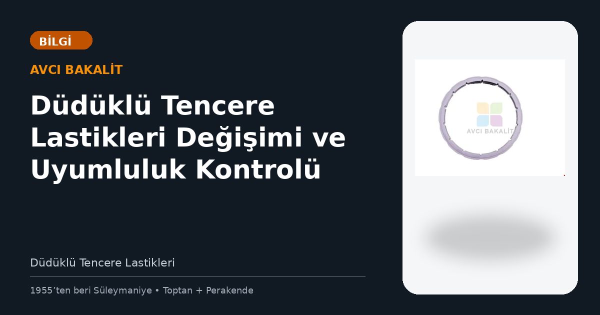 Düdüklü Tencere Lastikleri Değişimi ve Uyumluluk Kontrolü
